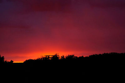 Silhouette of trees at sunset
