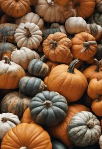 Full frame shot of pumpkins for sale at market