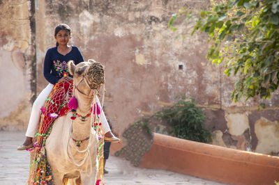 Camel riding at jaigarh fort of jaipur rajasthan