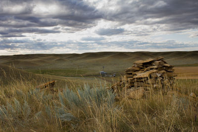 Scenic view of field against sky