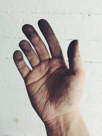 Close-up of cropped object