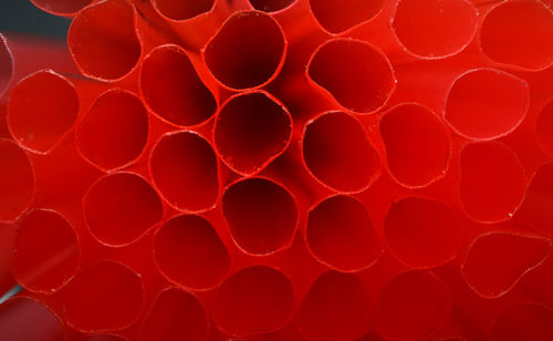 Full frame shot of red straw