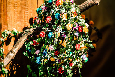 Close-up of flowering plant hanging from tree