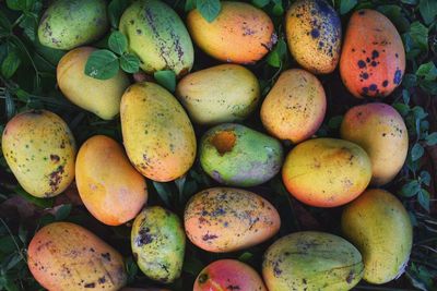 Full frame shot of fruits for sale in market