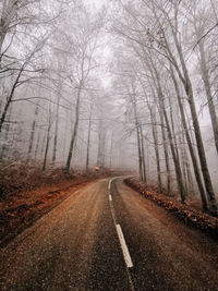 Road amidst trees in forest during winter