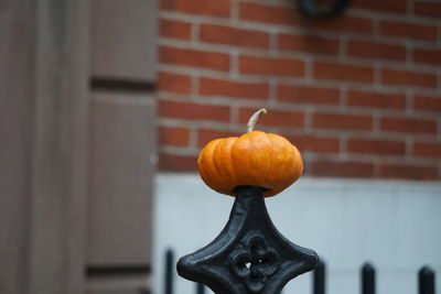 Close-up of pumpkin on metallic fence outside house