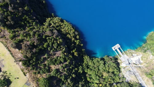 High angle view of plants and trees against blue sky