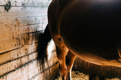 Light coming in barn