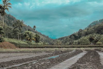 Road amidst trees and mountains against sky
