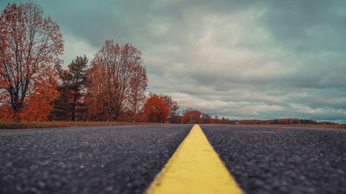 Surface level of road by trees against sky