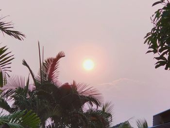 Low angle view of silhouette palm trees against sky during sunset