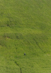 High angle view of soccer field