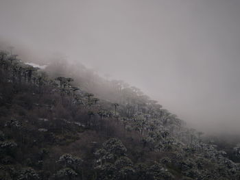 High angle view of trees and mountains against sky