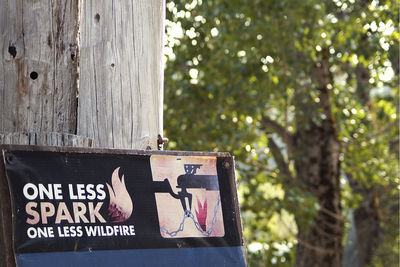 Close-up of text on tree trunk