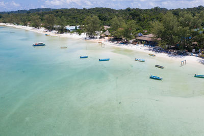 Scenic view of sea and trees