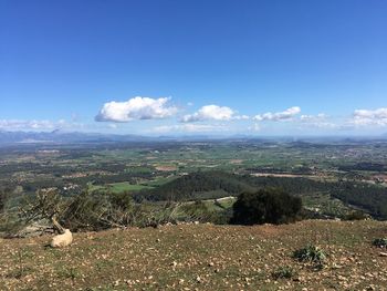 Aerial view of landscape against blue sky