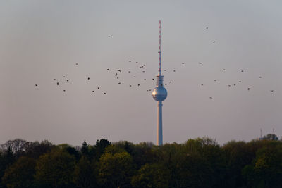 Low angle view of birds flying against sky during sunset