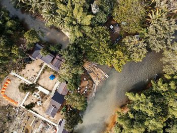 High angle view of tree by building