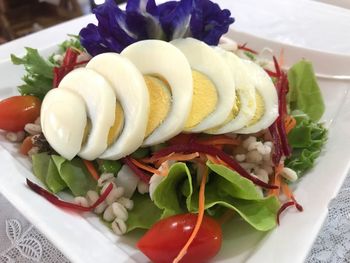 Close-up of salad in plate