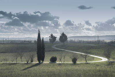 Scenic view of agricultural field against sky