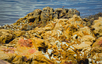 Close-up of rocks in water