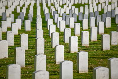 Row of cemetery