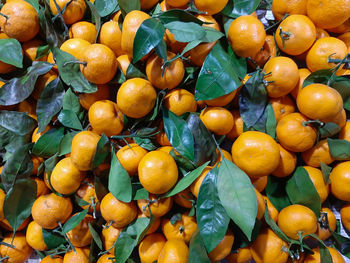 Full frame shot of oranges