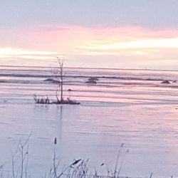 Scenic view of calm sea at sunset