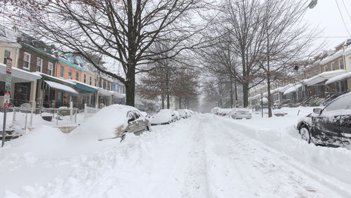 snow