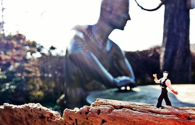 Close-up of plant against white background
