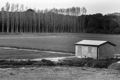 Trees on grassy field