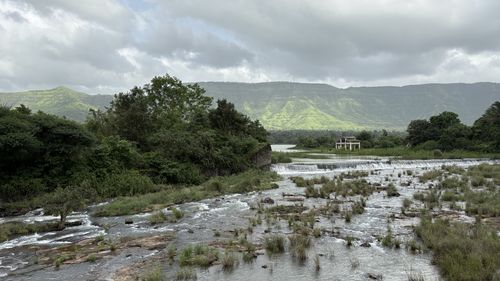 environment
