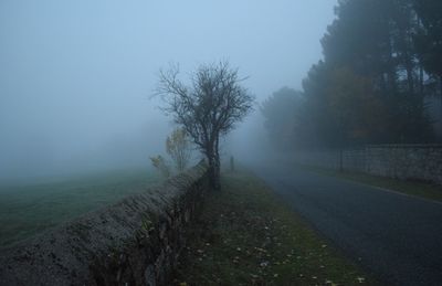 Scenic view of trees against sky