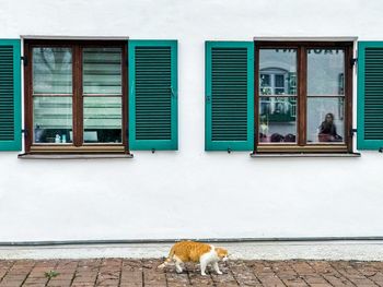 View of a window of building