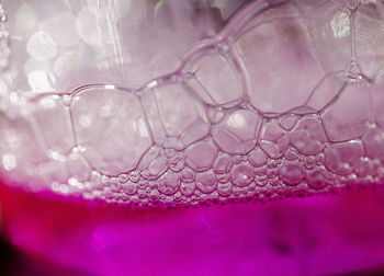 Close-up of water drops on pink glass