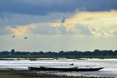 Birds flying over sea against sky