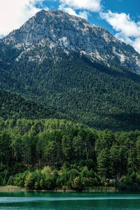 Scenic view of lake against mountain in forest