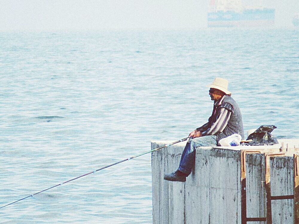 water, animal themes, sea, wood - material, one animal, bird, railing, perching, blue, animals in the wild, rippled, wildlife, pier, rope, nature, day, outdoors, wooden, no people, wood