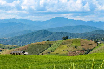 The rice terrace at chom thong district, chiang mai, thailand on october 2016