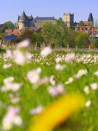 Scenic view of water on grassy field against buildings