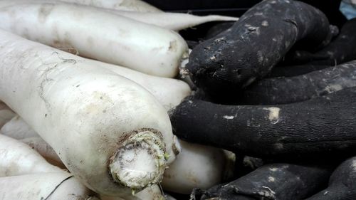 Close-up of meat