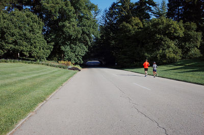 Road amidst trees