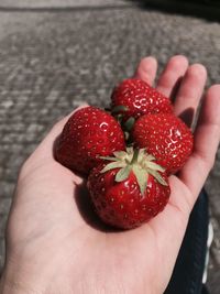 Close-up of cropped hand holding strawberries