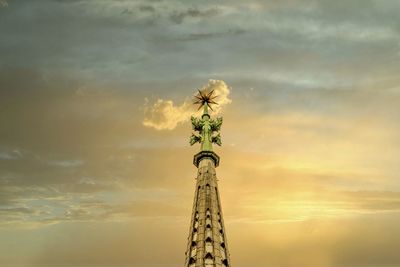 Low angle view of flowering plant against sky during sunset