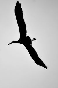 Low angle view of silhouette man jumping against clear sky