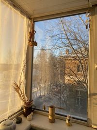 Bare tree seen through glass window