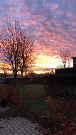 Bare trees on field against sky during sunset