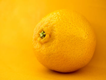 Close-up of orange over orange background