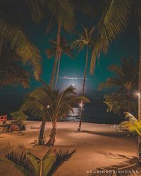 Palm trees on beach against sky at night