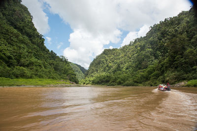 Scenic view of river amidst trees against sky